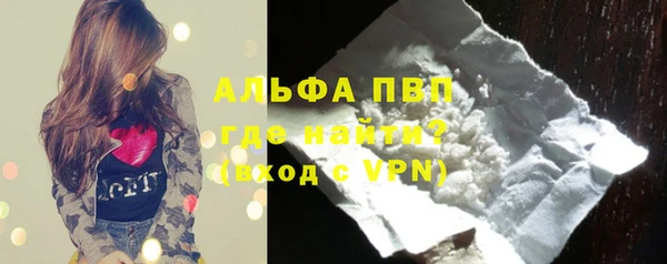 гашик Арсеньев