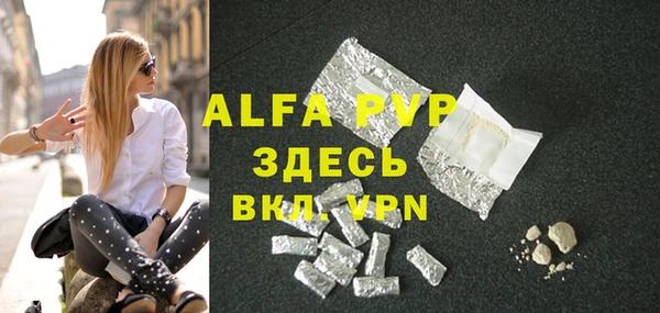 индика Армянск