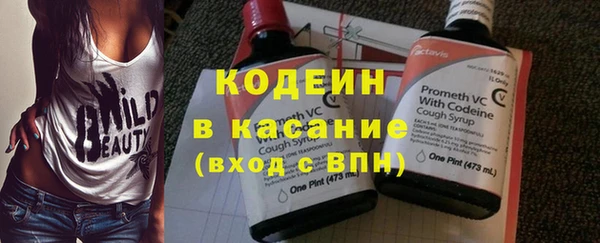 гашик Арсеньев