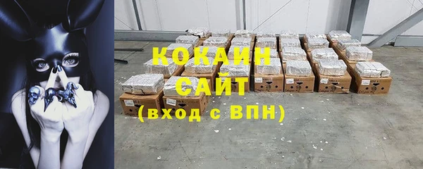 индика Армянск
